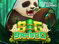 Casino free slots29